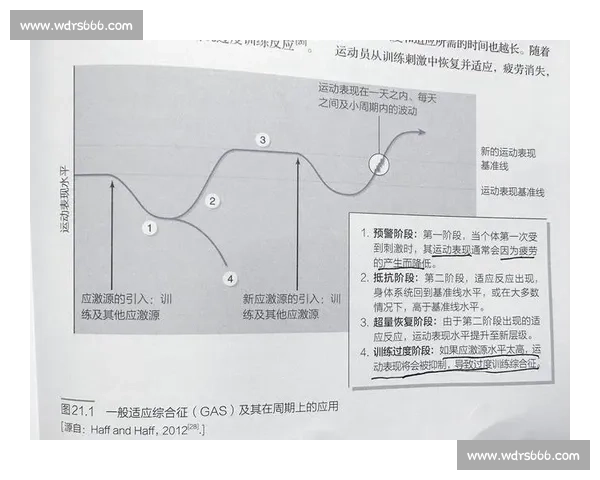 围绕运动损伤风险控制与科学训练的全方位伤病预防策略探究